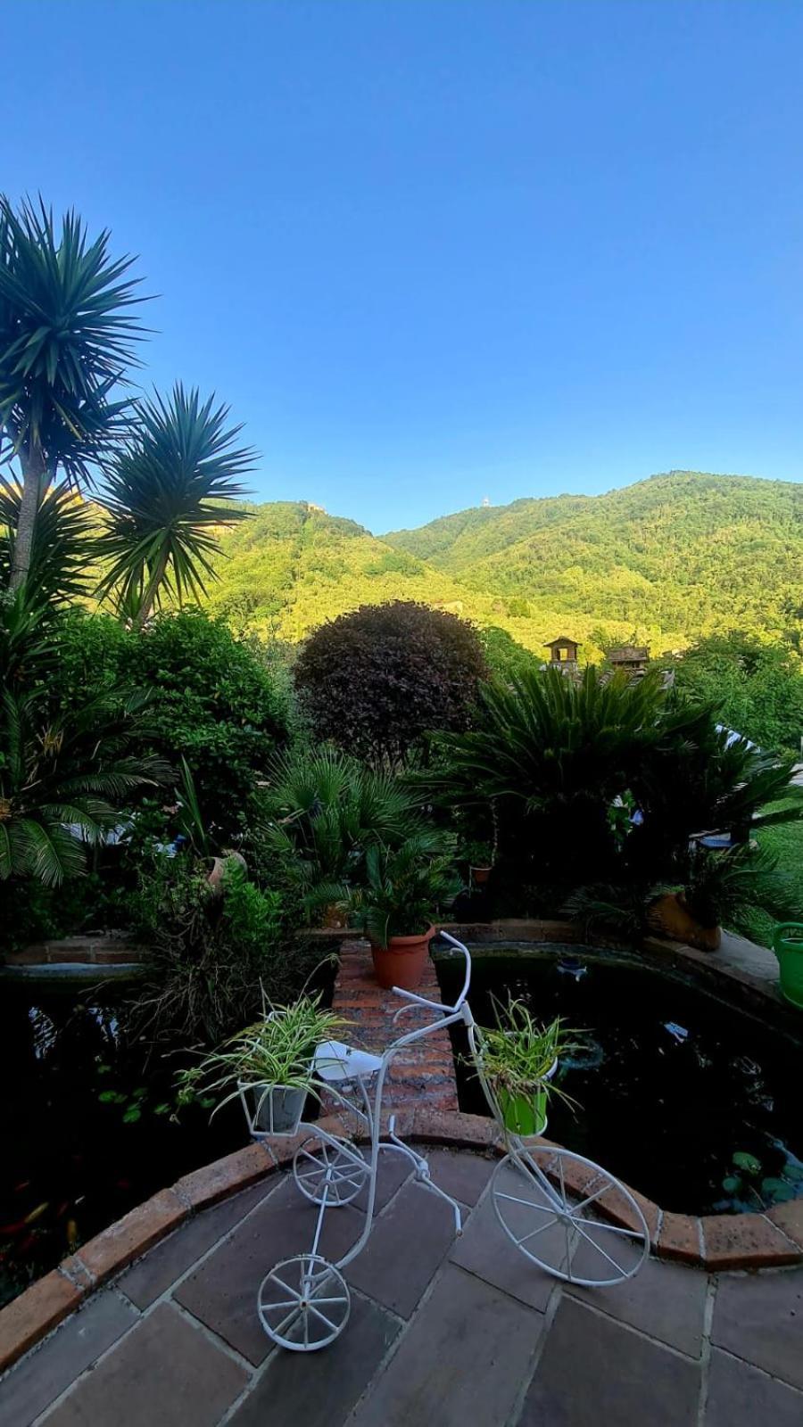 Jasmine Cottage Luni Bagian luar foto